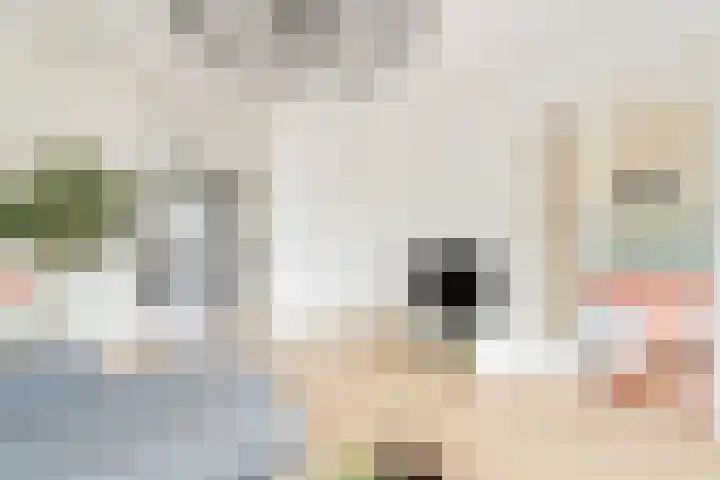 President Kennedylaan 12 3 Amsterdam thumbnail 13