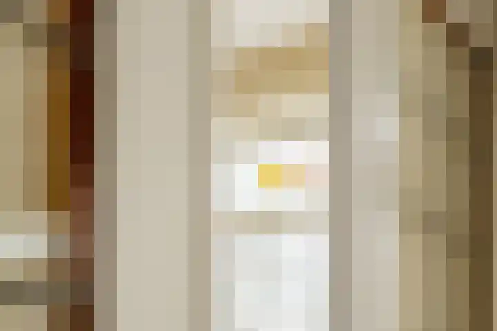 President Kennedylaan 12 3 Amsterdam thumbnail 15