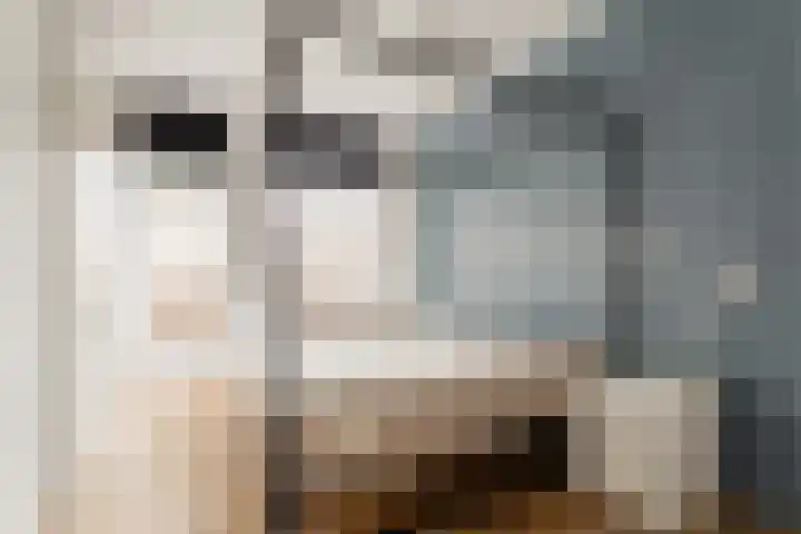 President Kennedylaan 12 3 Amsterdam thumbnail 4