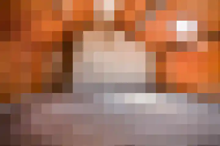 President Kennedylaan 12 Oegstgeest thumbnail 26