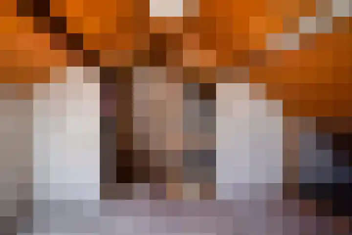 President Kennedylaan 12 Oegstgeest thumbnail 27