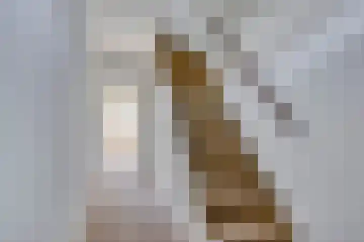 President Kennedylaan 12 Oegstgeest thumbnail 4