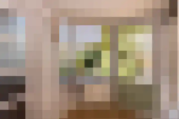 President Kennedylaan 127 Uden thumbnail 22