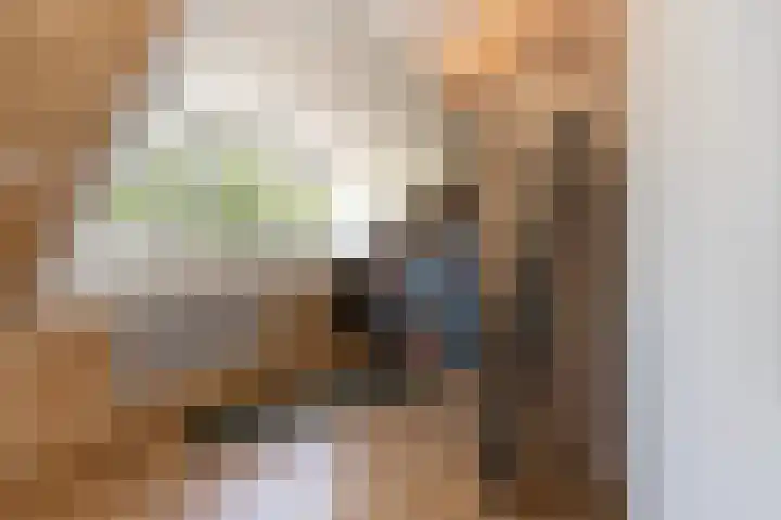 President Kennedylaan 127 Uden thumbnail 37