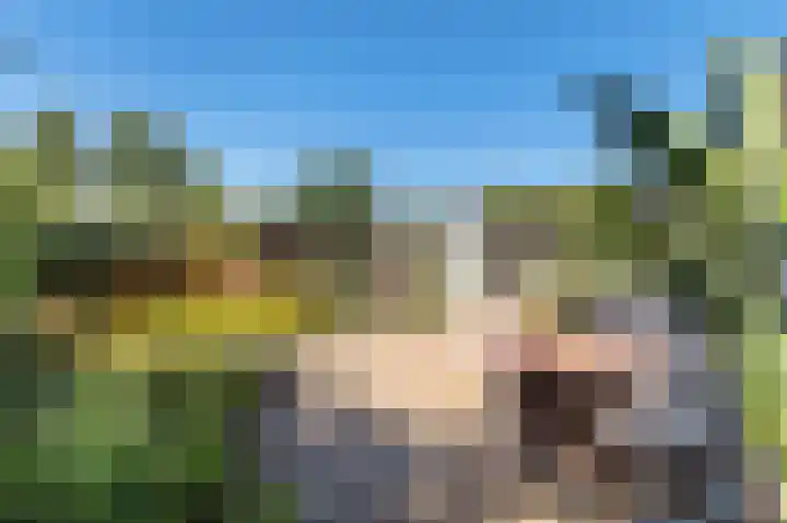 President Kennedylaan 127 Uden thumbnail 41