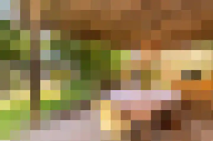 President Kennedylaan 127 Uden thumbnail 47