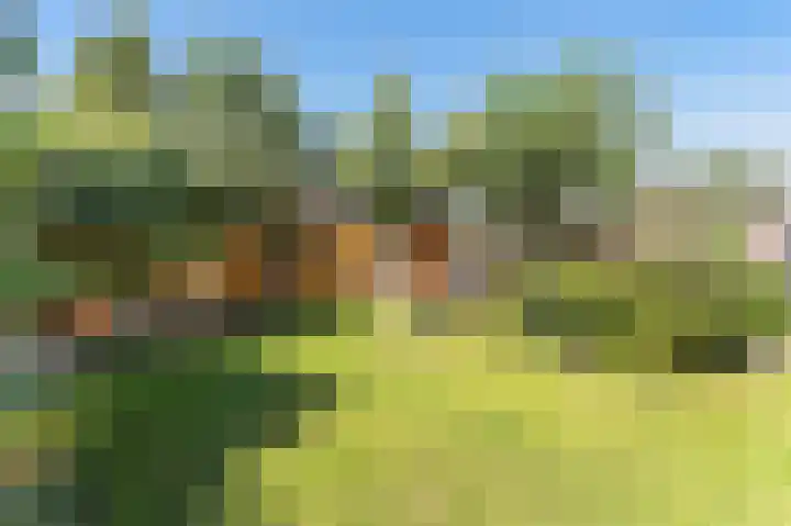 President Kennedylaan 127 Uden thumbnail 49