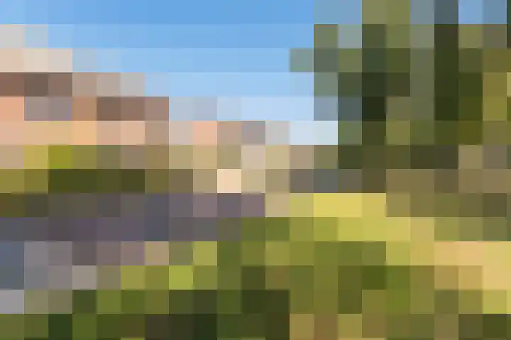President Kennedylaan 127 Uden thumbnail 5