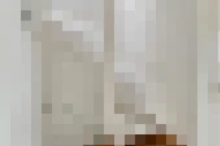 President Kennedylaan 146 Oegstgeest thumbnail 14