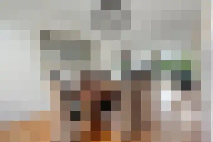 President Kennedylaan 146 Oegstgeest thumbnail 16