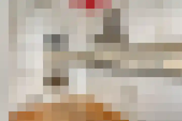 President Kennedylaan 146 Oegstgeest thumbnail 20