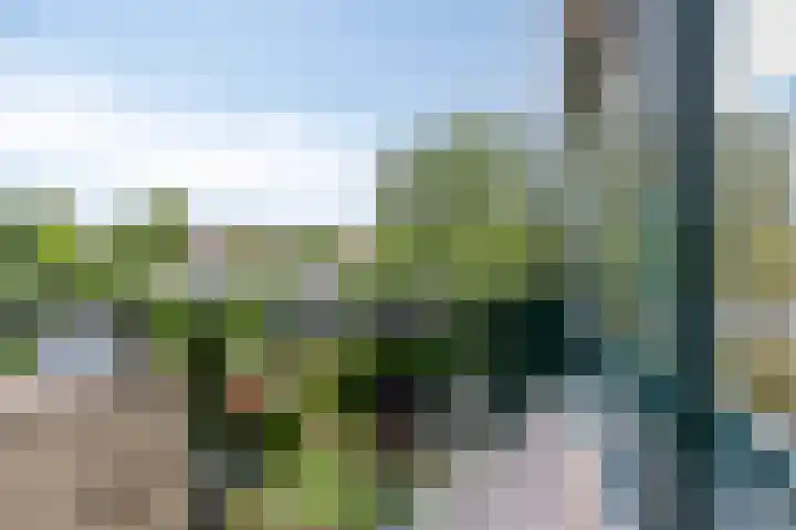 President Kennedylaan 146 Oegstgeest thumbnail 22