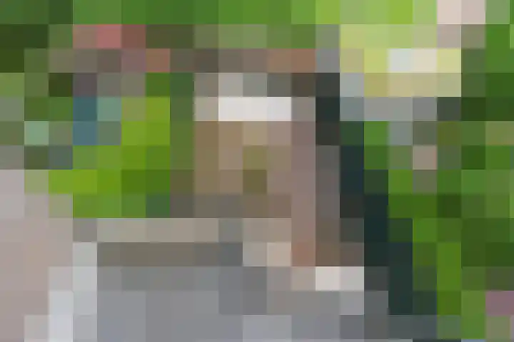 President Kennedylaan 146 Oegstgeest thumbnail 36