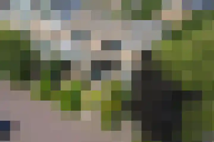 President Kennedylaan 146 Oegstgeest thumbnail 39