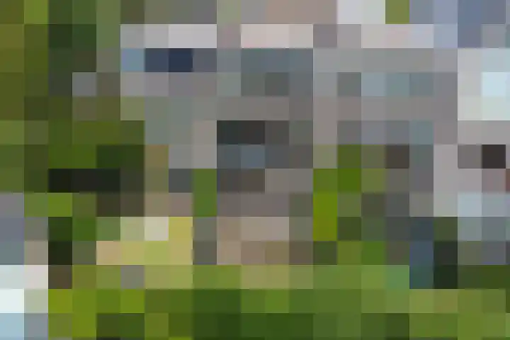 President Kennedylaan 146 Oegstgeest thumbnail 4