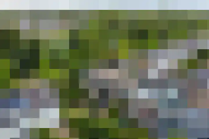 President Kennedylaan 146 Oegstgeest thumbnail 42