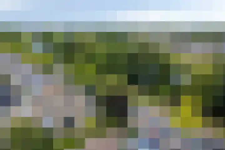 President Kennedylaan 146 Oegstgeest thumbnail 43