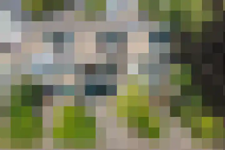 President Kennedylaan 146 Oegstgeest thumbnail 6