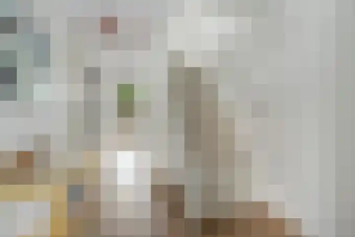President Kennedylaan 146 Oegstgeest thumbnail 7