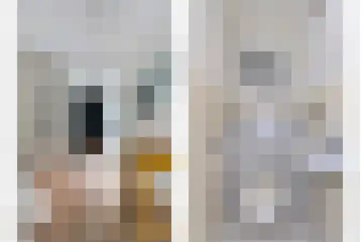 President Kennedylaan 146 Oegstgeest thumbnail 8