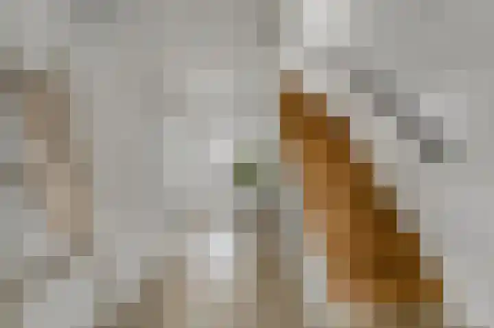 President Kennedylaan 154 Oegstgeest thumbnail 14