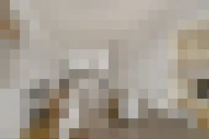President Kennedylaan 154 Oegstgeest thumbnail 18