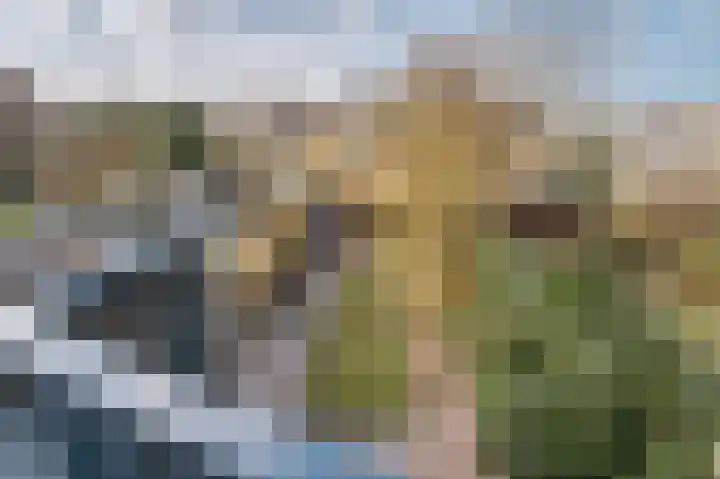 President Kennedylaan 154 Oegstgeest thumbnail 4