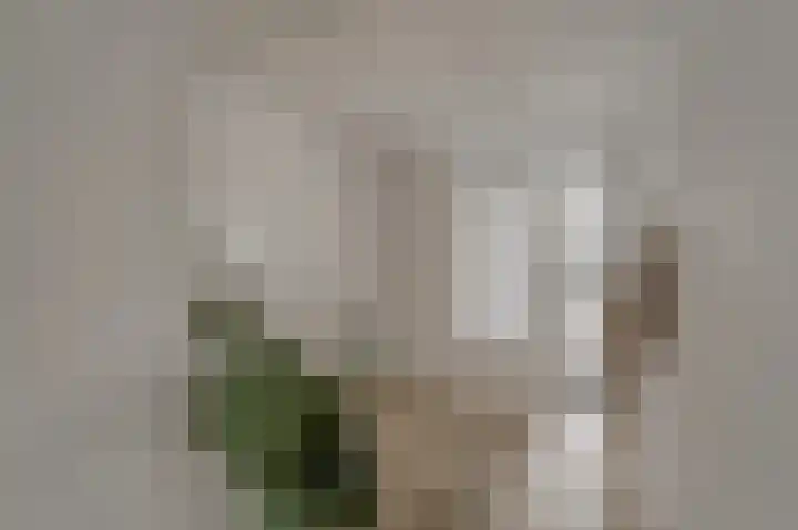 President Kennedylaan 154 Oegstgeest thumbnail 9