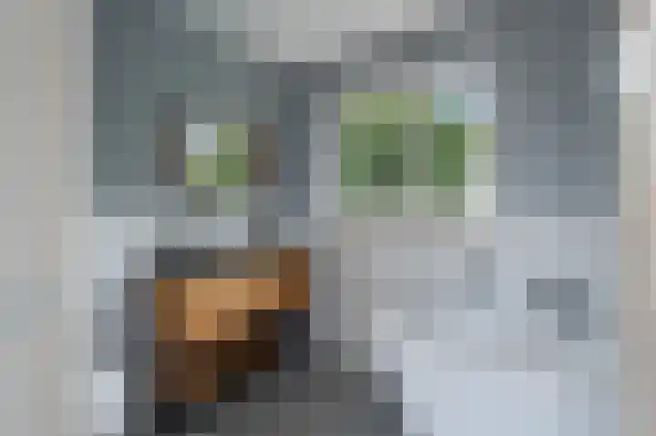 President Kennedylaan 160 H Amsterdam thumbnail 16