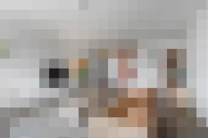 President Kennedylaan 161 Velp thumbnail 13