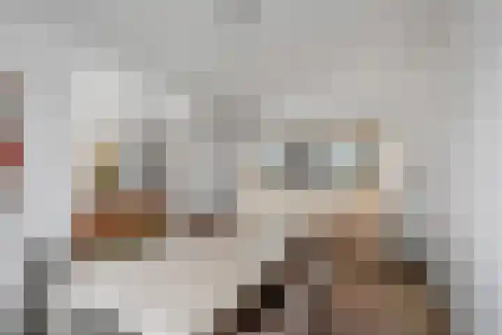 President Kennedylaan 161 Velp thumbnail 15