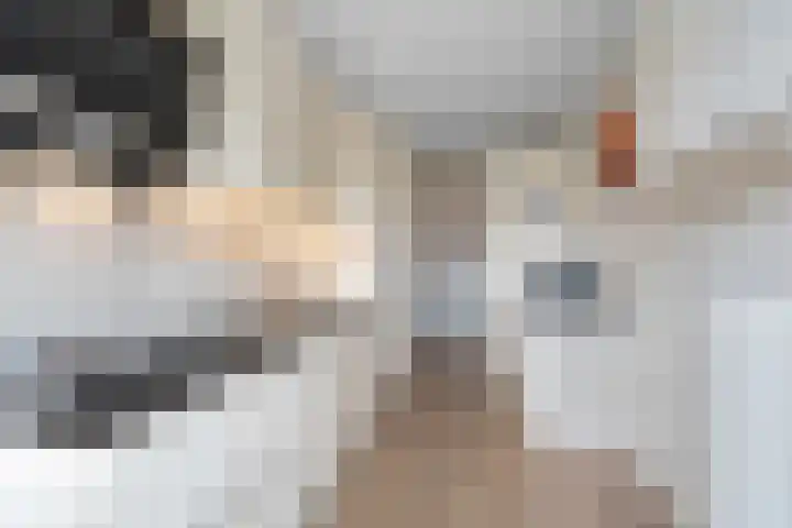 President Kennedylaan 161 Velp thumbnail 18