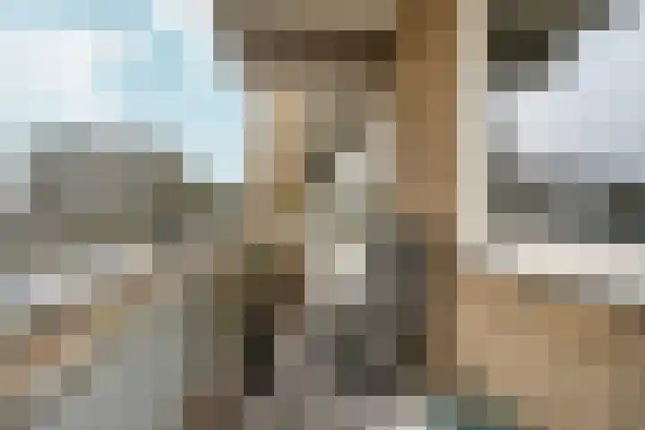 President Kennedylaan 161 Velp thumbnail 23