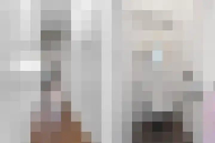 President Kennedylaan 161 Velp thumbnail 26