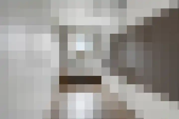 President Kennedylaan 161 Velp thumbnail 27