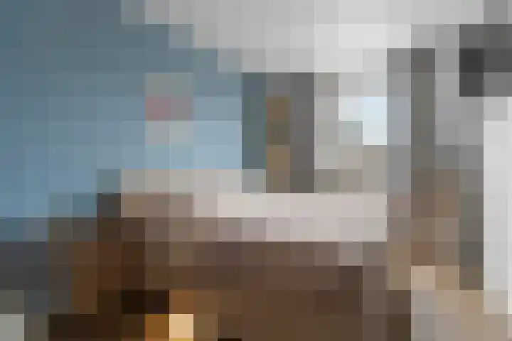 President Kennedylaan 161 Velp thumbnail 29