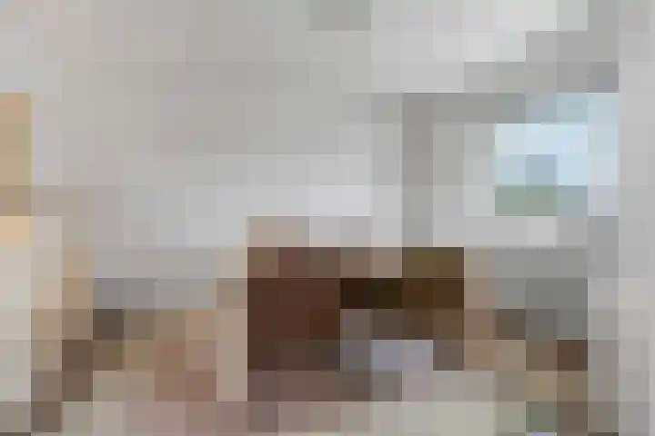 President Kennedylaan 161 Velp thumbnail 4
