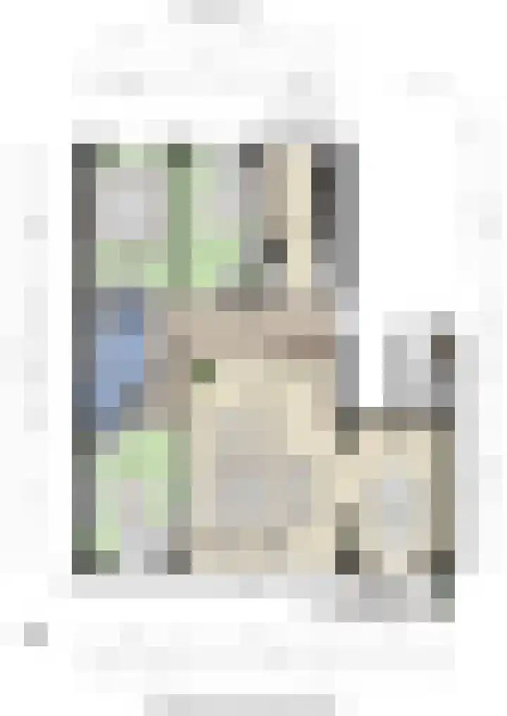 President Kennedylaan 161 Velp thumbnail 42