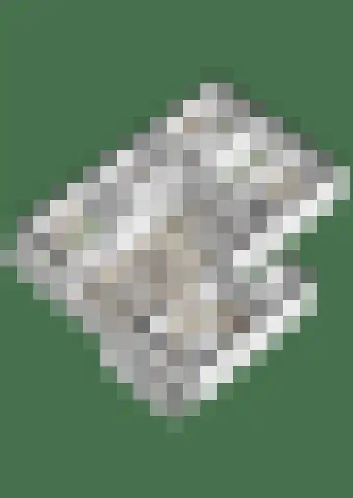 President Kennedylaan 161 Velp thumbnail 43