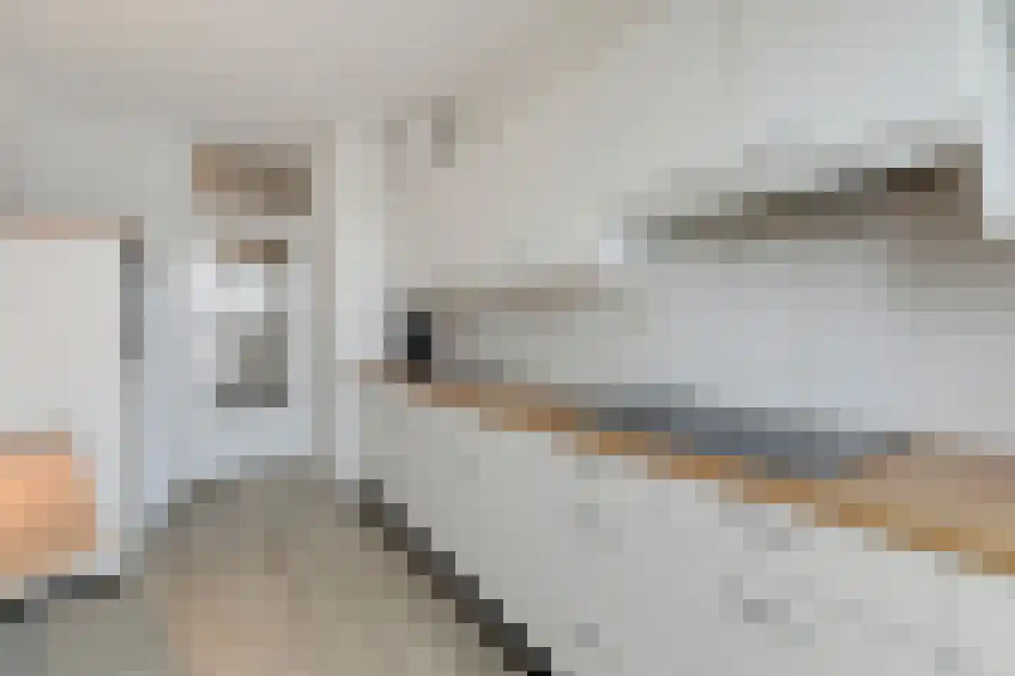 President Kennedylaan 177 Velp thumbnail 15