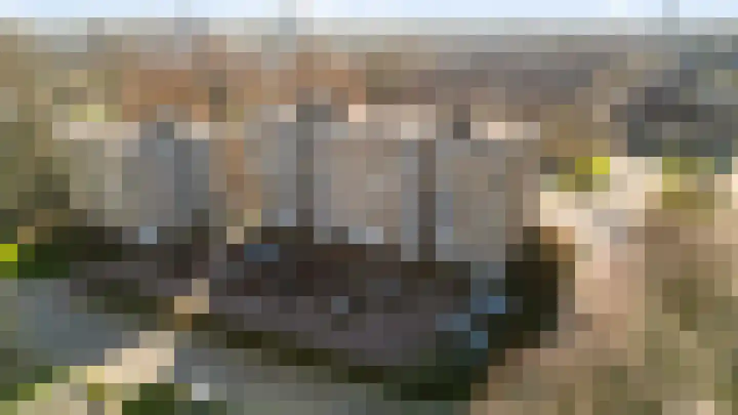 President Kennedylaan 177 Velp thumbnail 26