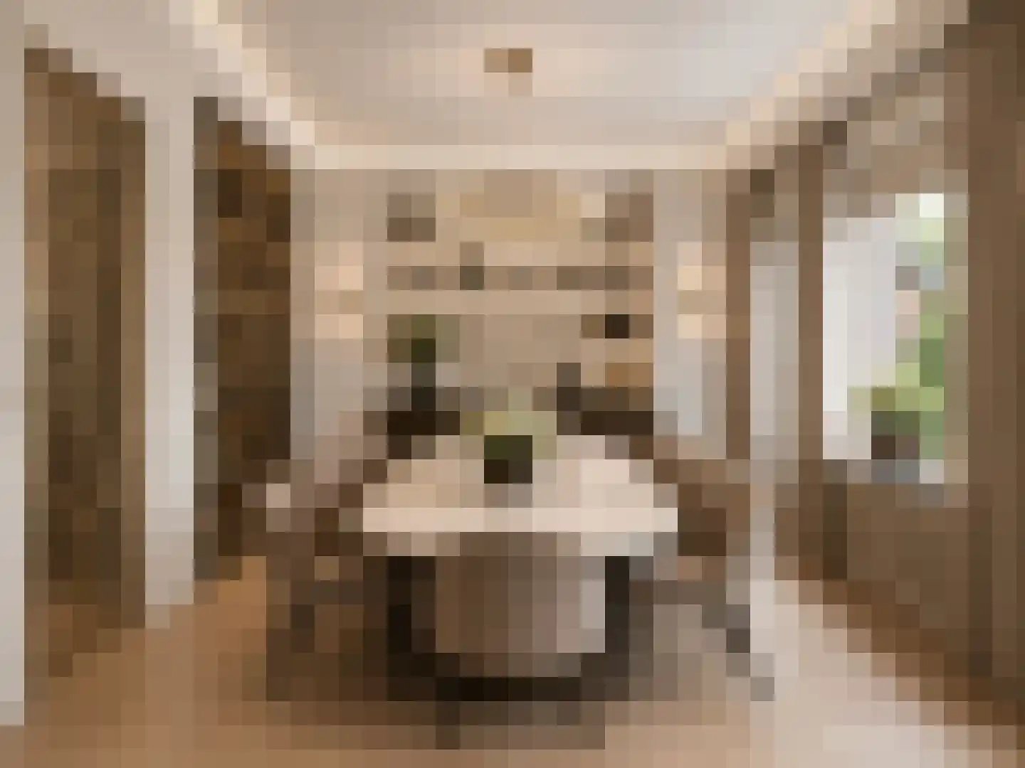 President Kennedylaan 185 Oegstgeest thumbnail 10