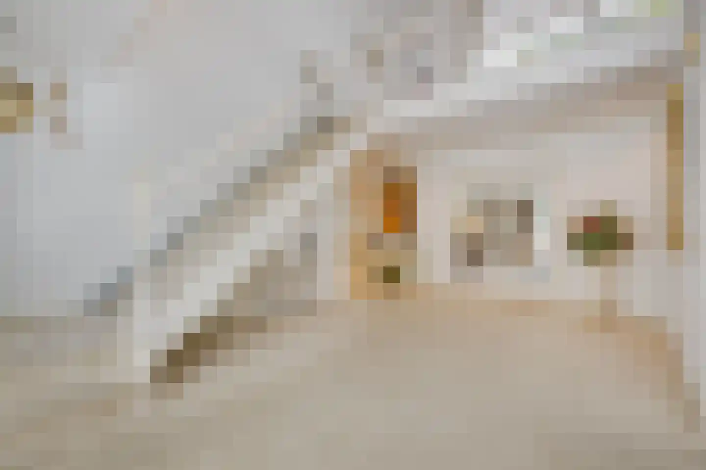 President Kennedylaan 185 Oegstgeest thumbnail 37