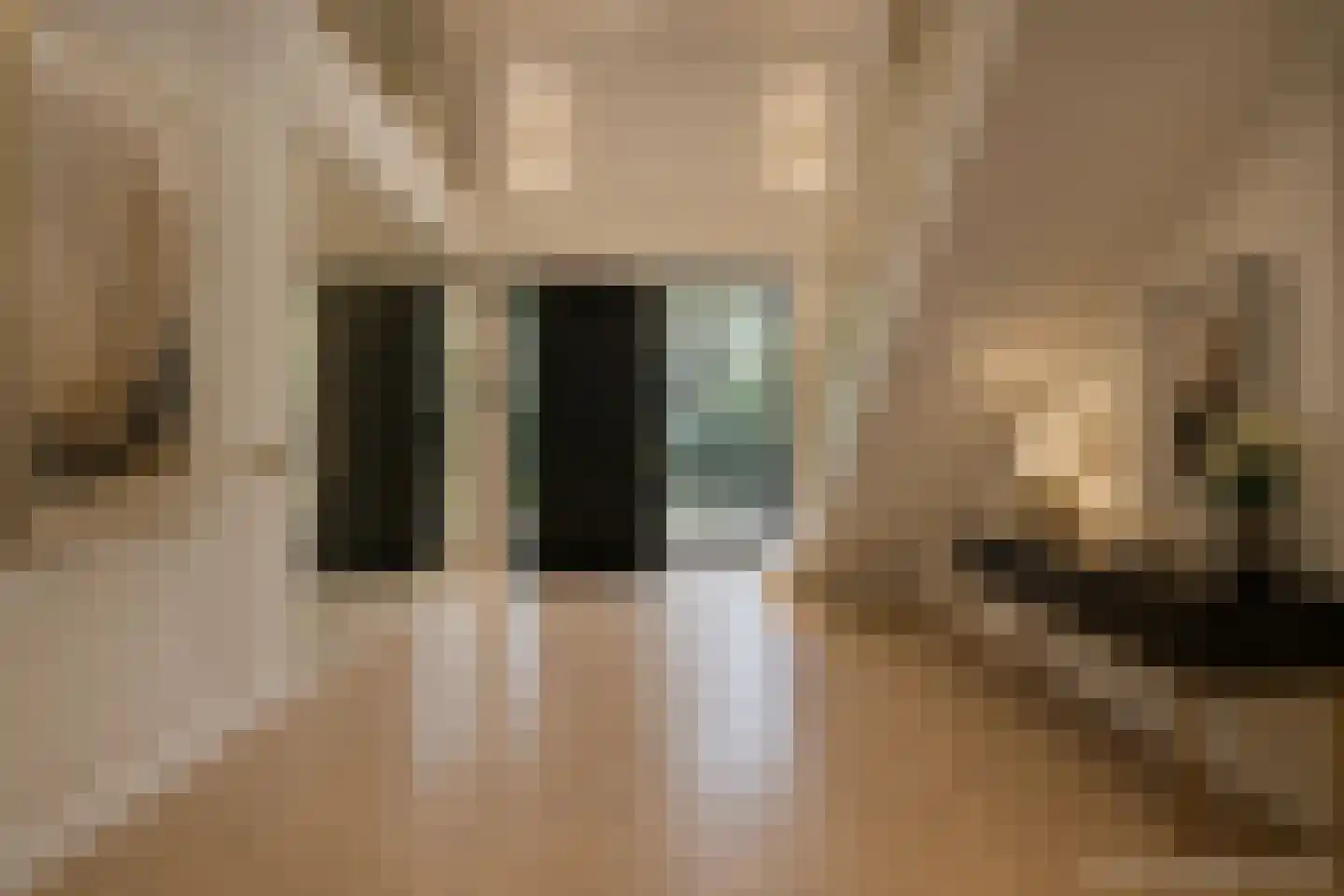 President Kennedylaan 185 Oegstgeest thumbnail 5