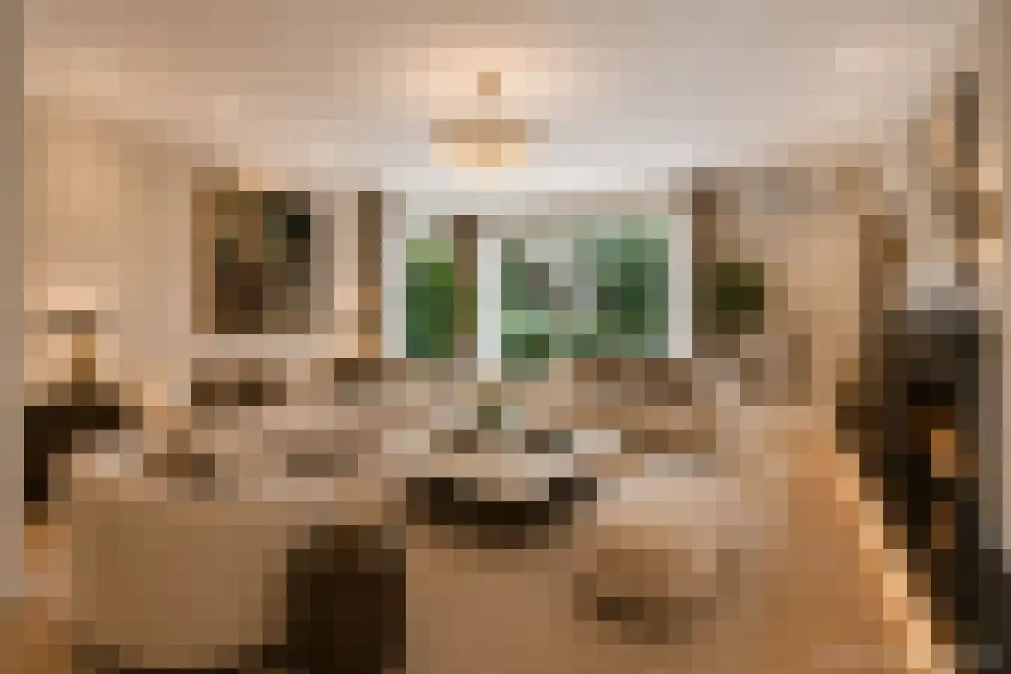President Kennedylaan 185 Oegstgeest thumbnail 7