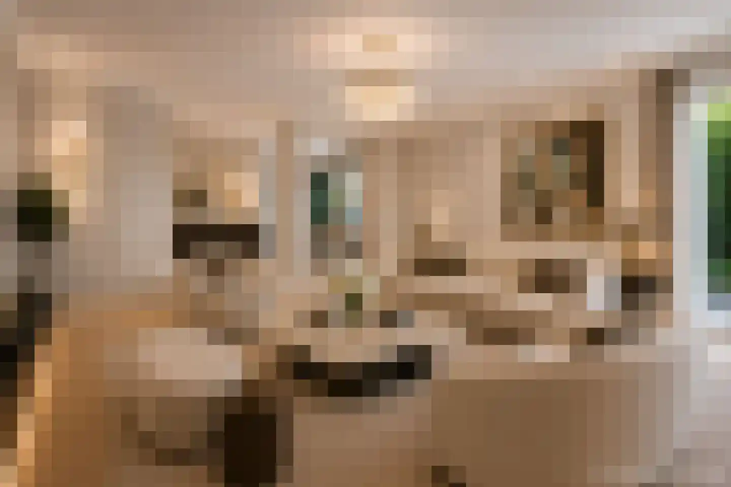 President Kennedylaan 185 Oegstgeest thumbnail 8