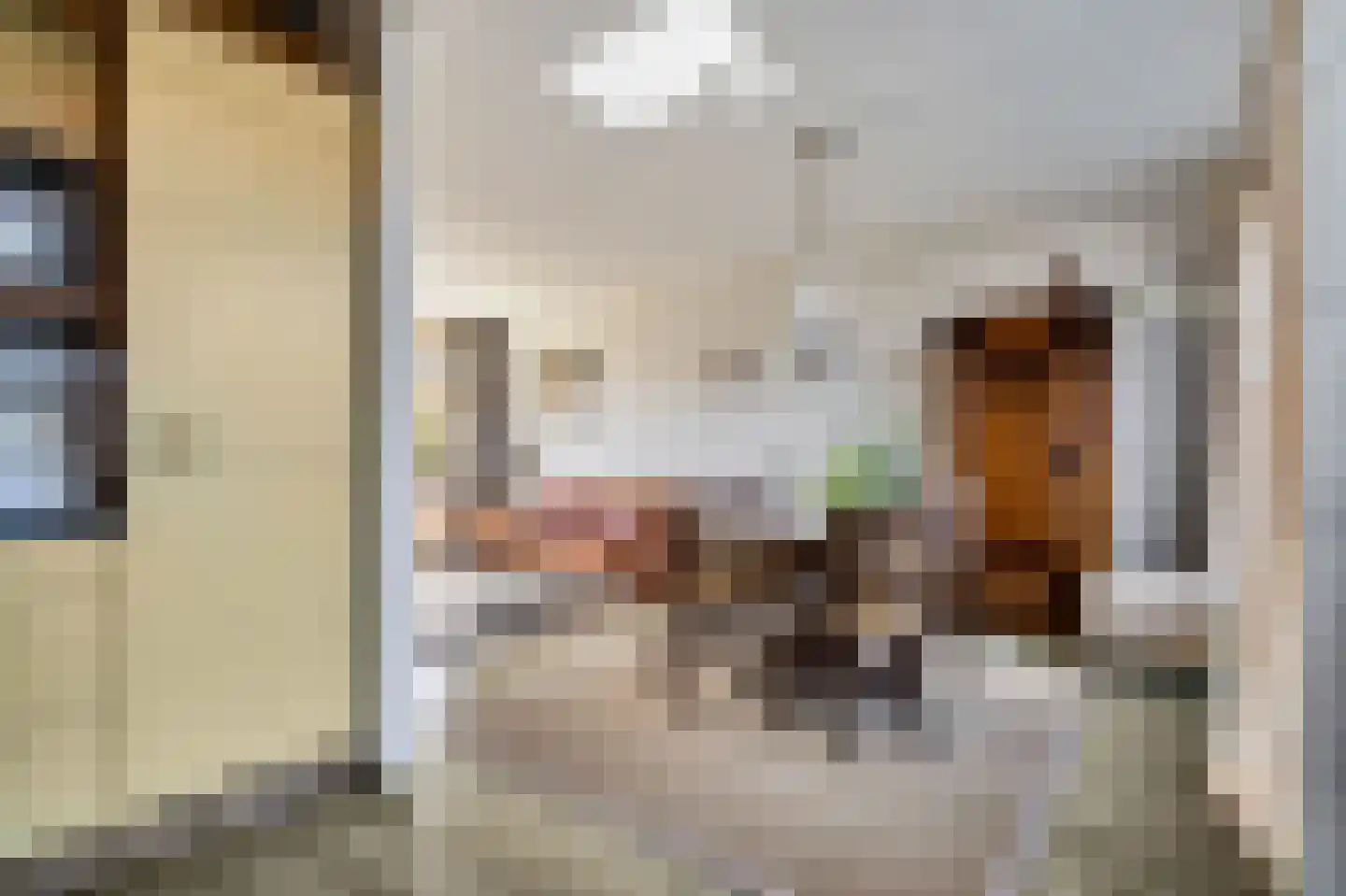 President Kennedylaan 19 Oegstgeest thumbnail 12