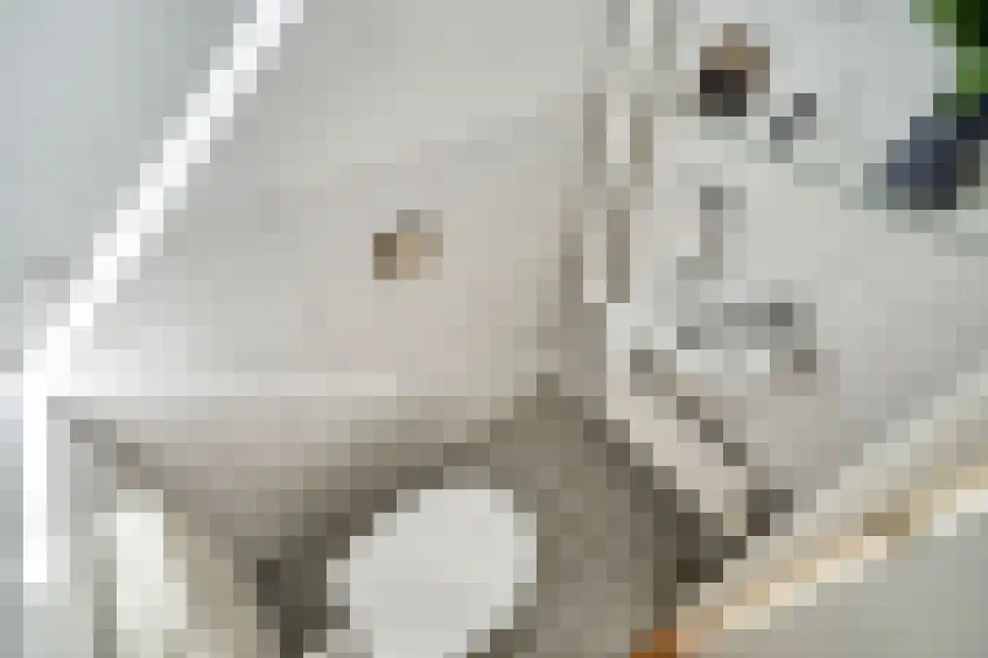 President Kennedylaan 19 Oegstgeest thumbnail 20