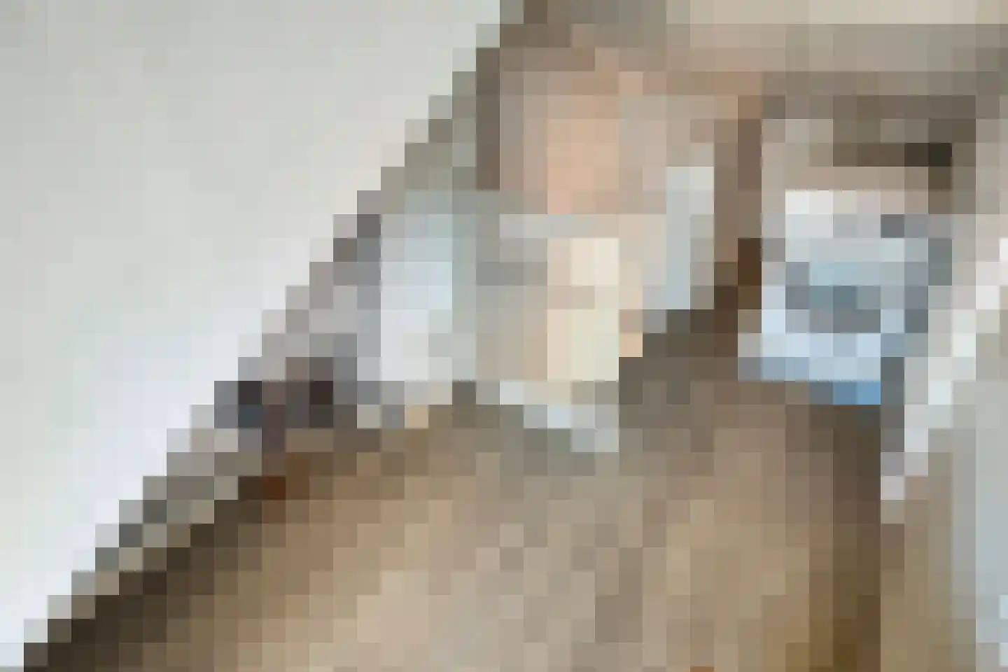 President Kennedylaan 19 Oegstgeest thumbnail 32