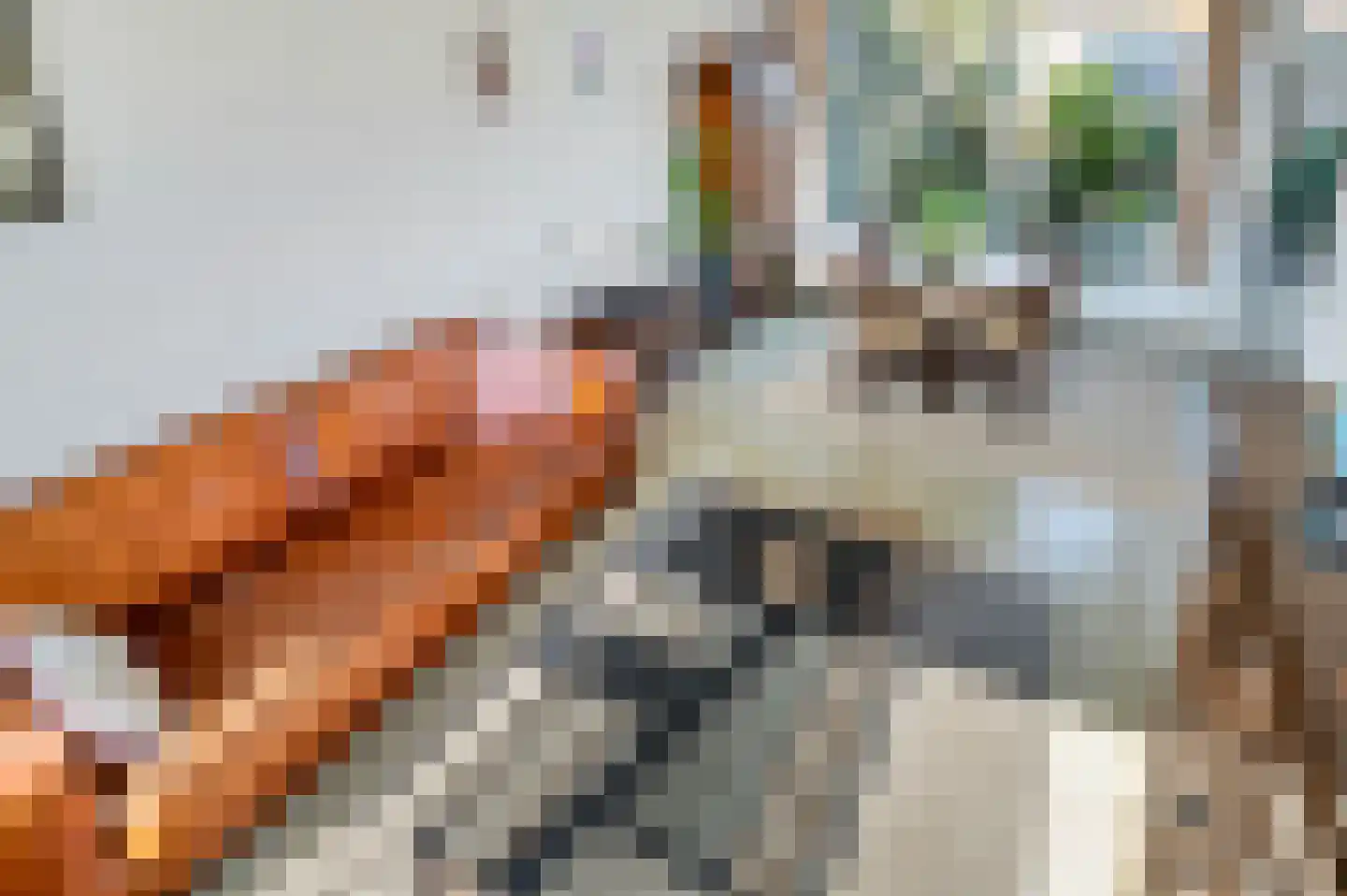 President Kennedylaan 19 Oegstgeest thumbnail 5